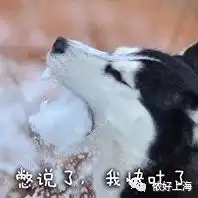 周杰伦同款奶茶魔都上线半夜就有人排队...黄牛嘬过的奶茶你敢买吗
