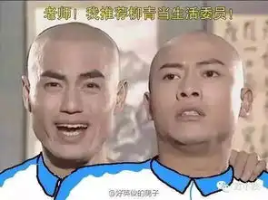 好方犯二的还珠格格表情包连续剧,有你的青春吗
