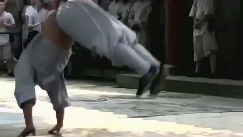 天下武功出少林,正宗少林虎形拳,小师傅的表情好到位
