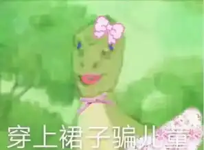宝批龙到底是什么鬼啊

