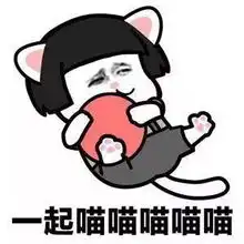 暑期义工报名猫奴千万别去摩洛哥,因为...
