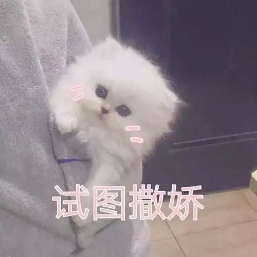 冬天必买的毛绒单品,我都帮你们找好啦
