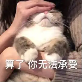 华为,买不起你,我看得起你
