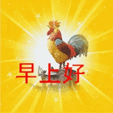 gif老板,上一笼中老年表情包
