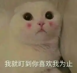 本场mvp视频直播全集本场mvp资料大全yy官方
