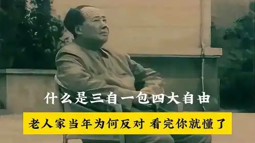 什么是三自一包四大自由,老人家当年为何反对,看完你就懂了
