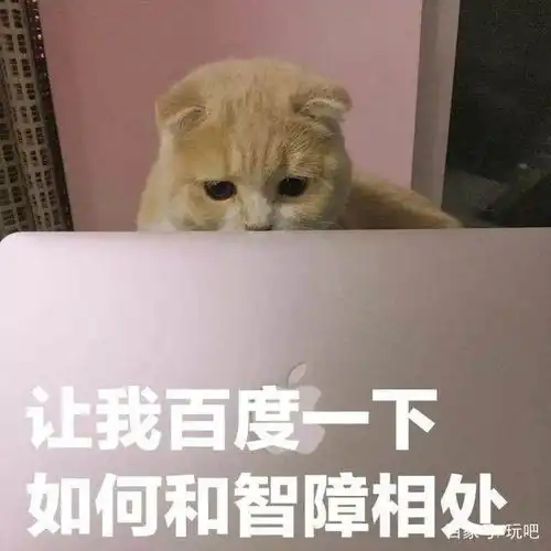 我有10000个怼人表情包,送你要不要
