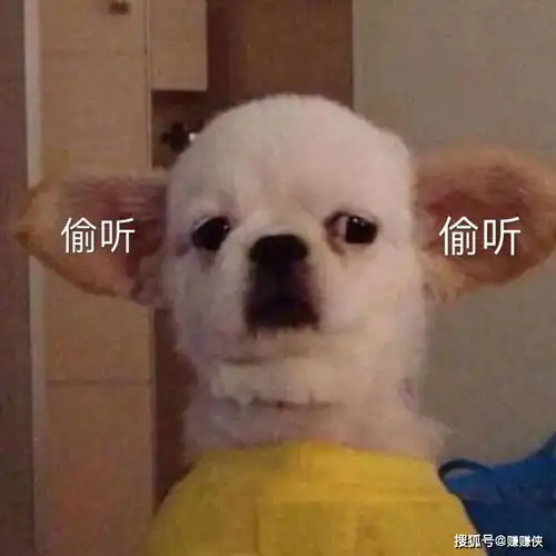 最新表情包图片我到底哪里错了嘛,都不理人家
