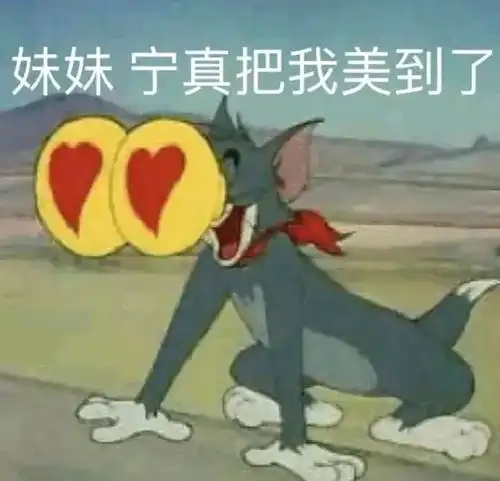表情包人聊天必备沙雕表情包不沙雕你顺着网线来打我猫和老鼠专栏万能回复表
