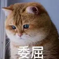 委屈含泪表情包
