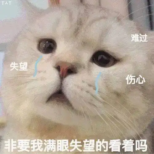 金城武给空姐签名后投诉,高圆圆出街30位安保护送,明星个个膨胀
