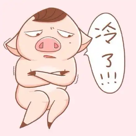 太坏了,准备拿眼睛去瞪暹罗猫表情包
