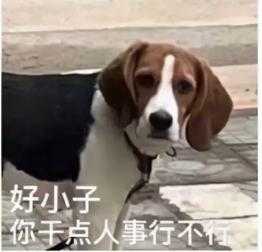 小团团圣诞节露脸直播,自曝曾被假粉丝现实狙击喝酒
