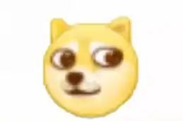 你猜为什么我会有那么多表情包因为我养了一只柴犬
