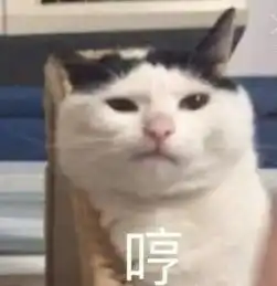 治我猫病,救我狗命那些年宠物医院收到的锦旗,全都喵语汪语过6级
