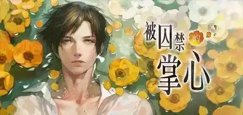 面对被囚禁的美少年我该何去何从无法触碰的掌心超越真实感
