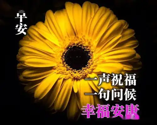 早上好图片大全表情包早上好图片问候语2020
