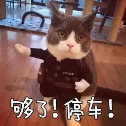 美国大概是世上最能浪费的国家了,却总要求别人节能减排
