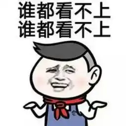 经典微信聊天专用表情包当别人问你怎么还没有恋爱
