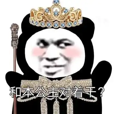 表情包本公主和你没完
