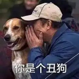 好看的狗狗千篇一律,但长得丑的狗子,竟然都不一样
