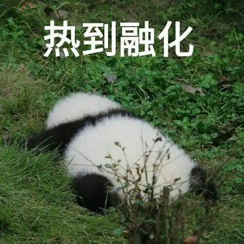 关于最近
