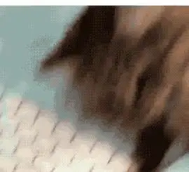 这年头老鼠不仅不怕猫,还要喵星人亲亲抱抱举高高
