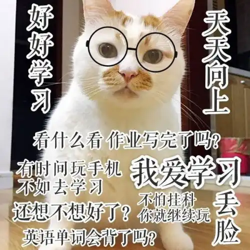 求这只猫的全套表情包
