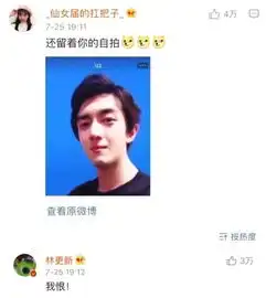 被网友发表情包群嘲林更新只回复了两个字
