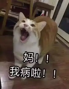 康马去香港做验胎儿男女谐富科技

