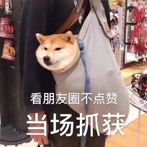 背景图你不喝我不喝,中国好酒往哪搁原则
