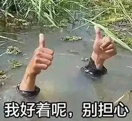 所有的mark后再看都是成年人的自我欺骗
