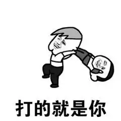 林子大了什么鸟都有
