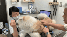 秋田犬去看医生,因为中途换了男医生,结果狗子表情就变了
