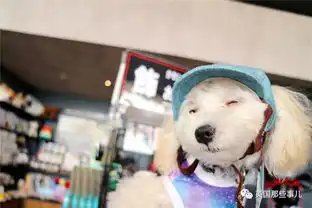 平时乖萌的汪星人一旦丑起来,各个都是高能崩坏表情包啊...
