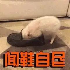 斗图小表情2.6
