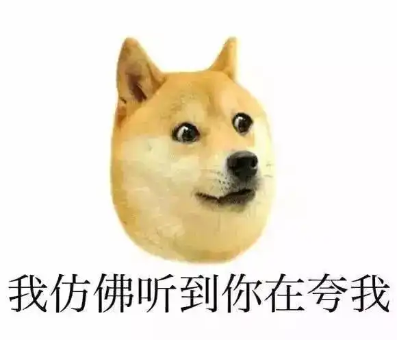第一次带柴犬见女友,这货一个激动,让现场气氛一度尴尬
