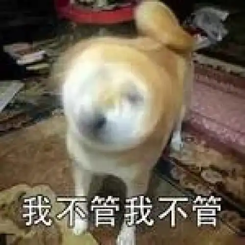 滑雪溜冰堆雪人,今年又可以在广州这些地方看雪啦
