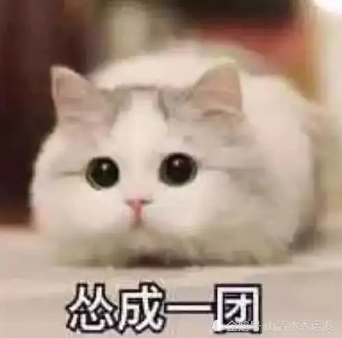 惹女票生气了,别再发错了,亲爱的,这些表情包才是解药
