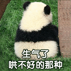 卖萌撒娇表情包我生气了哄不好的那种
