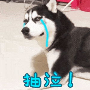 表情包
