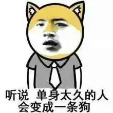连表情包都有对象了,单身久了是什么感觉
