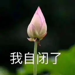 春节里最讨厌被亲戚问哪些问题
