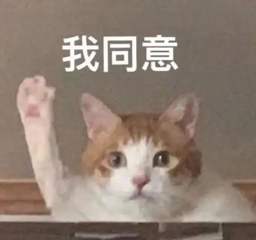 初恋脸out2021年流行方脸,高级又大气
