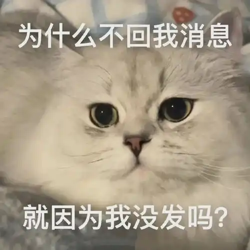表情包,自我感动是病态
