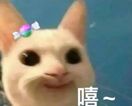 黄子韬徐艺洋刘宪华回归杨紫成毅沉香如屑刘雨昕性格
