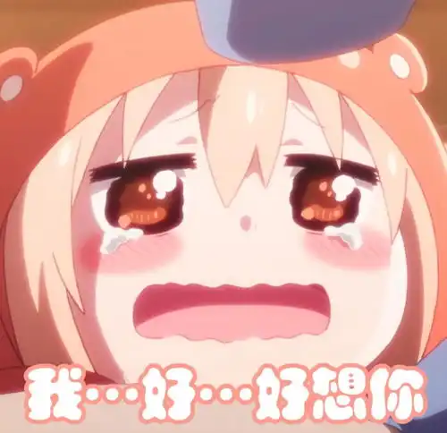 小埋的表情包第一期
