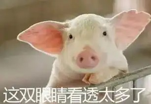 大城市完美的单身女性都是外地人
