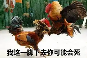 77张鸡表情包祝你鸡年大吉