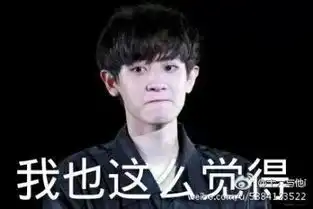 朴灿烈表情包
